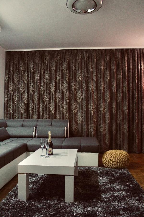 Ramonda - New * Belgrade