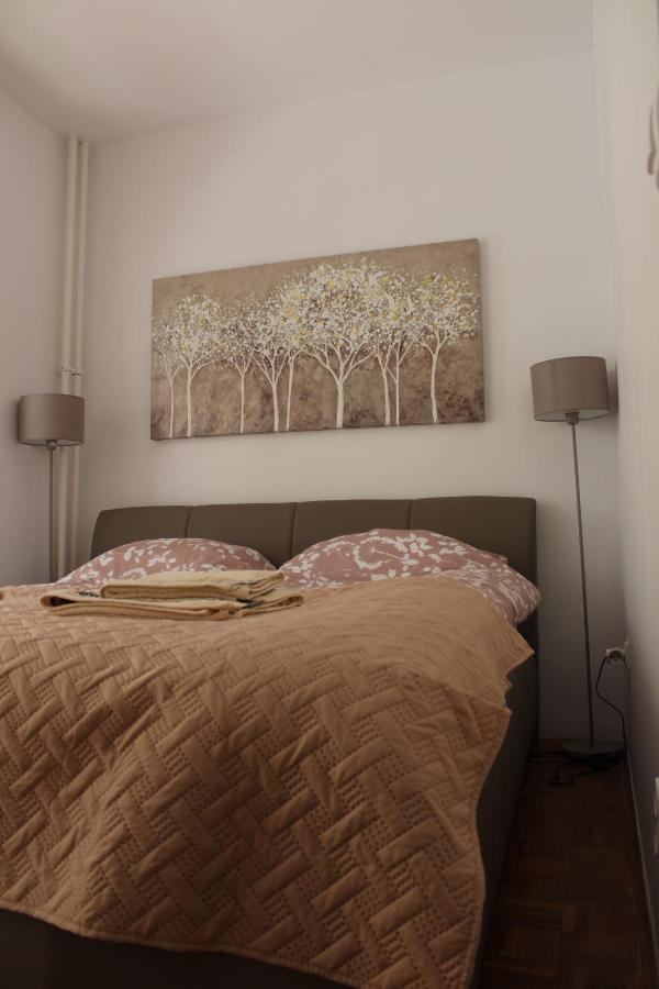 Ramonda - New Apartment