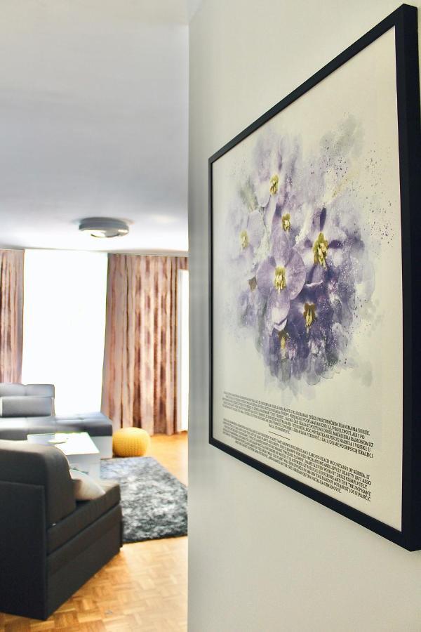 Apartment Ramonda - New